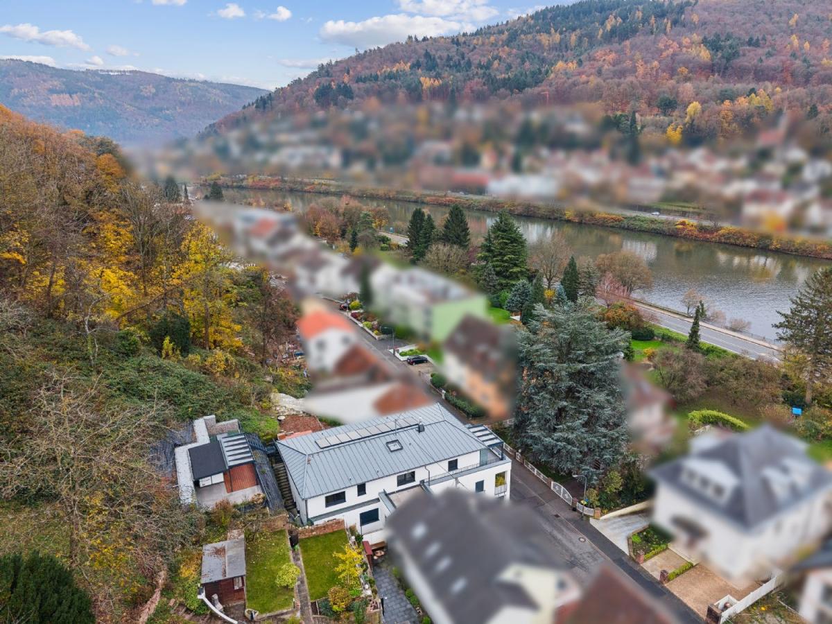 Über der Dächern von Heidelberg