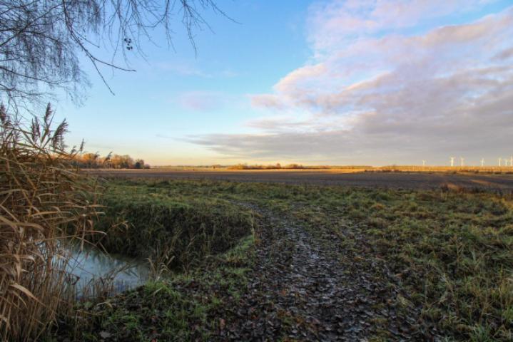 Feld hinter dem Grundstück