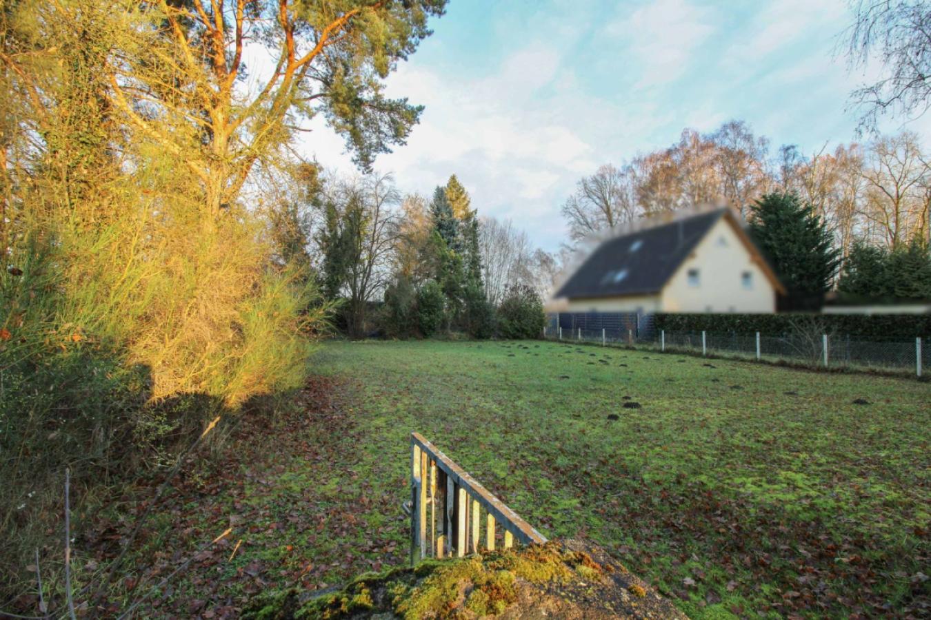 Blick vom Tor auf das Grundstück