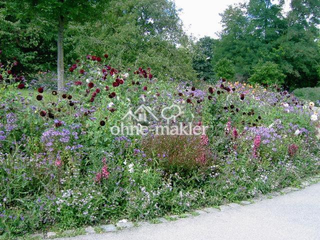 Grünanlage bei der Wohnung