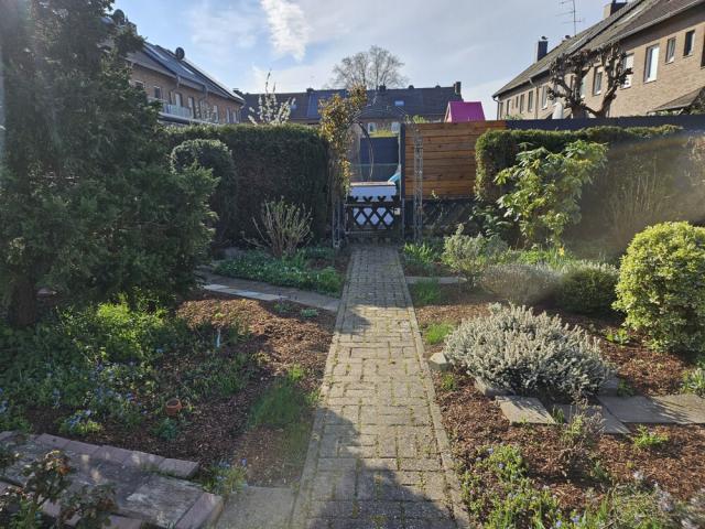 Garten / rückwärtiger Ausgang