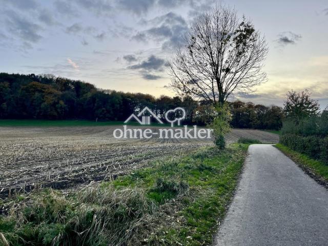 Naherholung Hasselholz