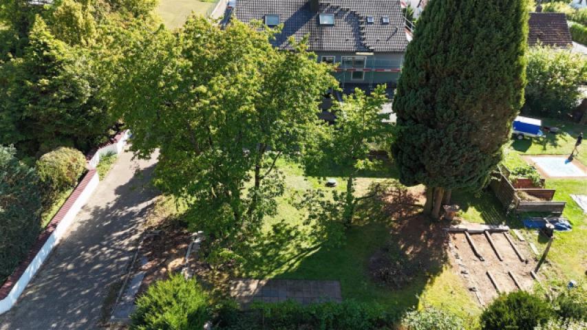 Blick aufs Grundstück Richtung Süden