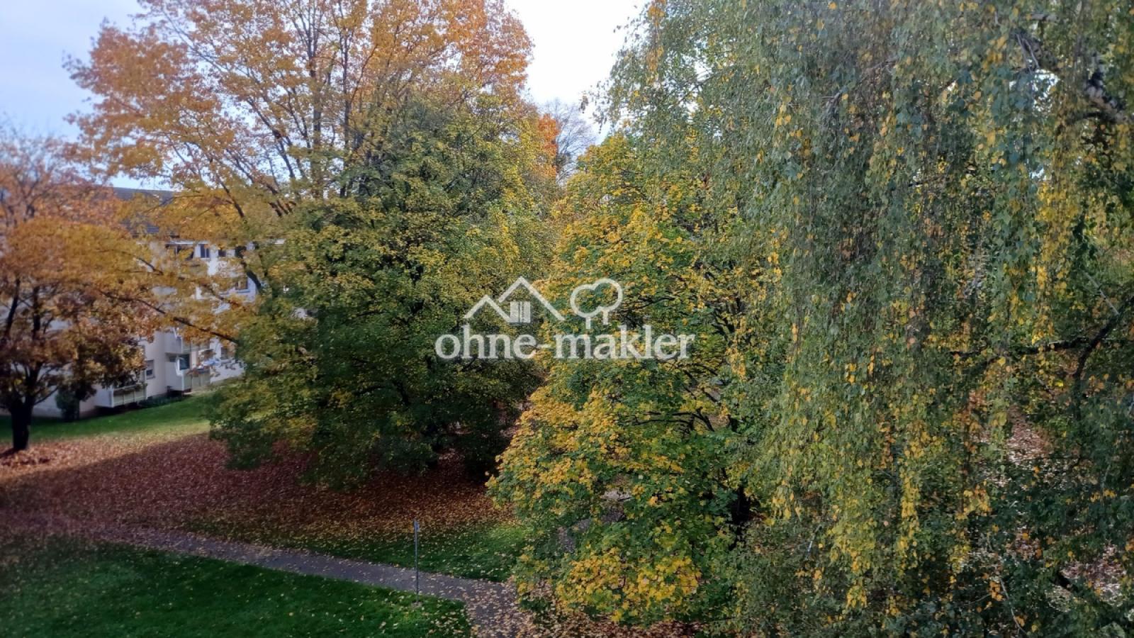 Ausblick Grünanlage