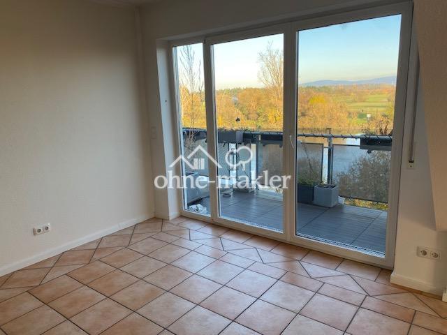 Wohnzimmerblick  auf den Main