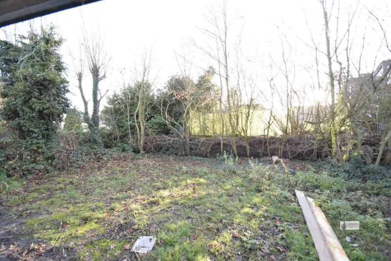 Blick in den hinteren Gartenteil