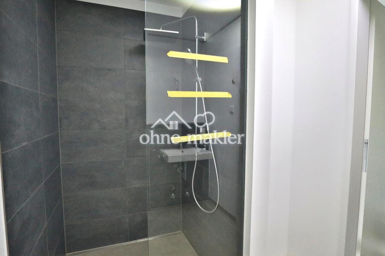 Duschwand und Rainshower