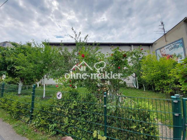 Vorderansicht Sommer