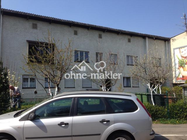 Vorderansicht Frühling