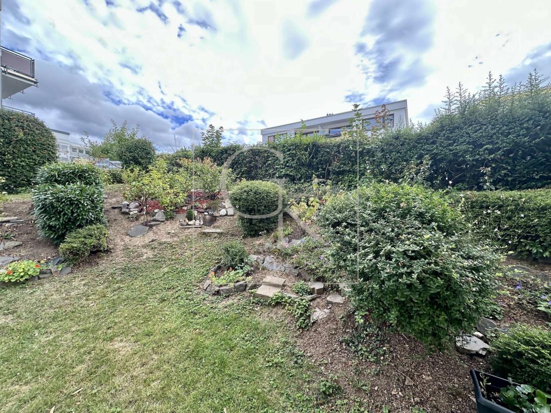 Blick auf kleinen Garten 