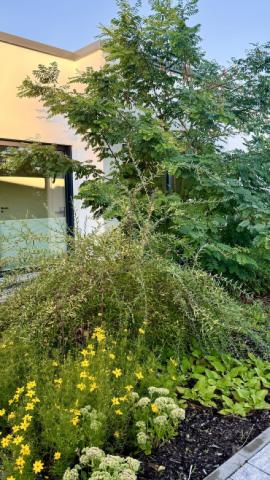 Blick aus den Apartments