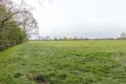 Weide I