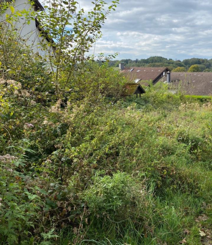 Grundstück, wild mit toller Aussicht