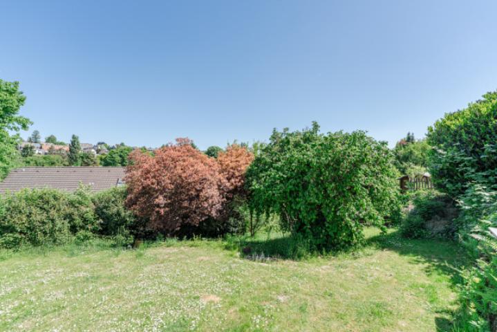 Weitere Gartenansicht