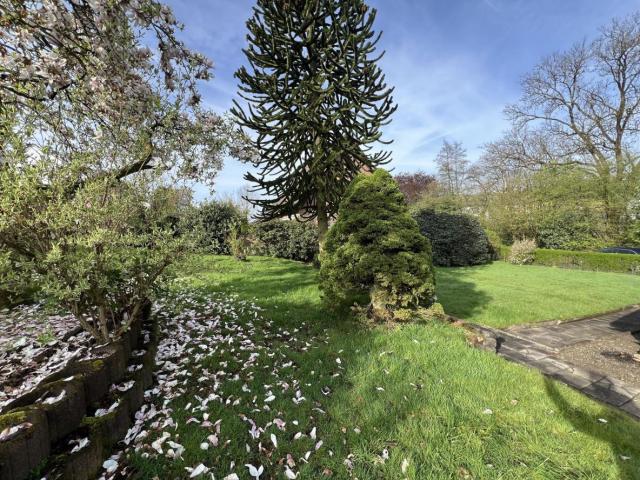 Grundschnitt Querschnitt