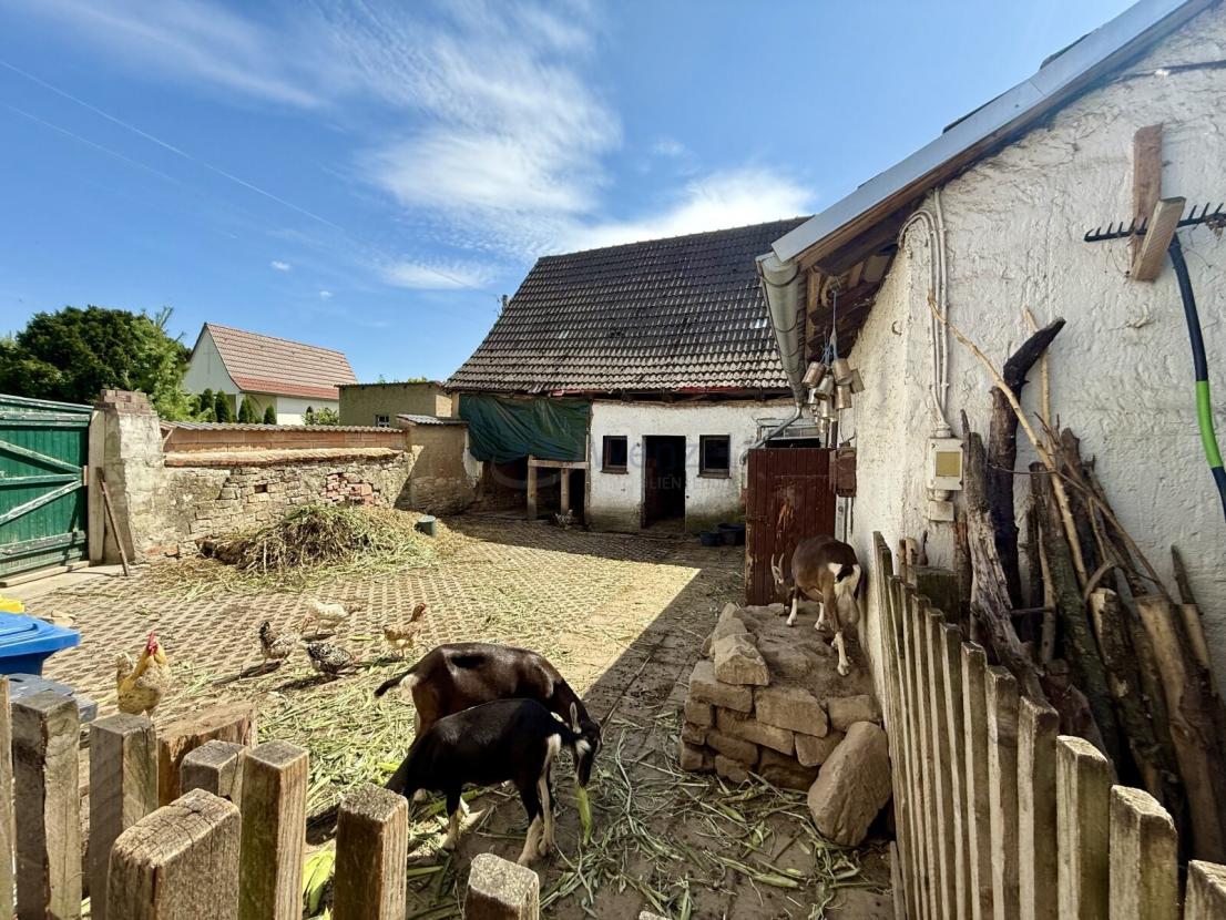 Hof mit Blick zur Scheune und den Hausziegen