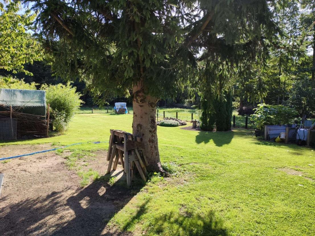 weiterer Teil des Gartens