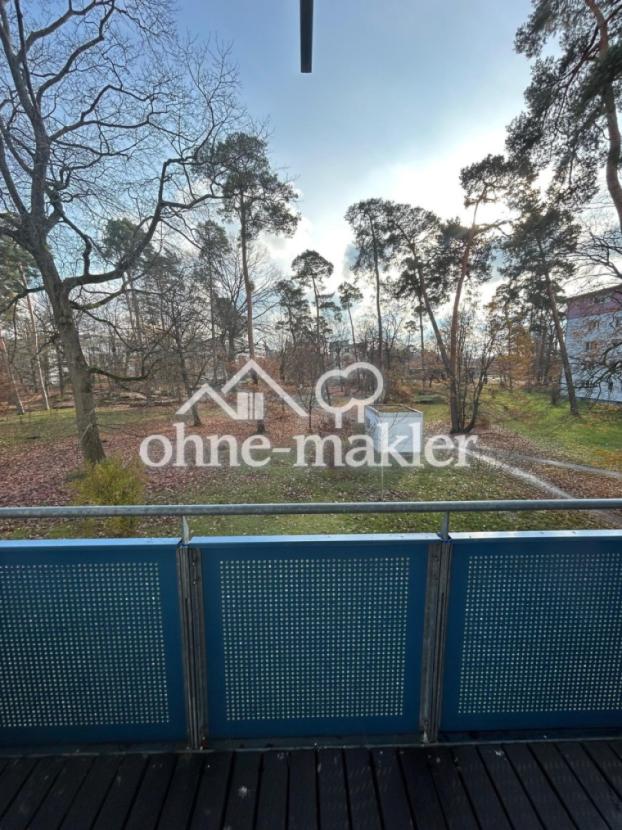 Südbalkon mit herrlichem Blick