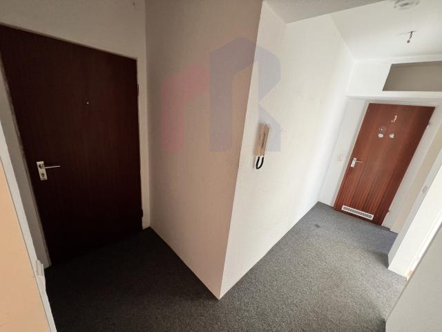 e6c1c941-daec-43e0-bfad-1119ea79197e_original