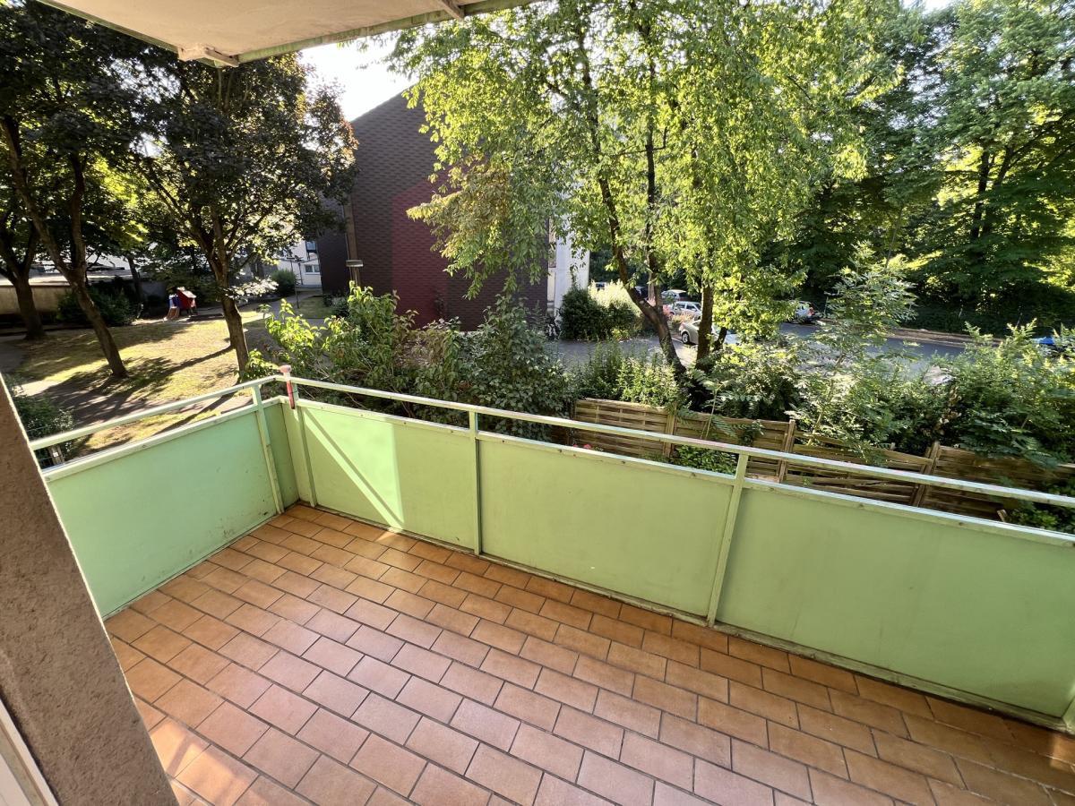 8c68cffe-338a-46f5-9da5-f5b3ab5eaae5_original