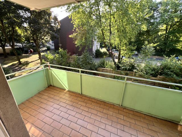 8c68cffe-338a-46f5-9da5-f5b3ab5eaae5_original