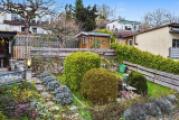 Ansicht Garten mit Teich