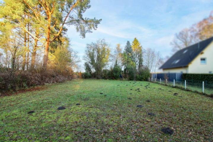 Grundstück von vorne