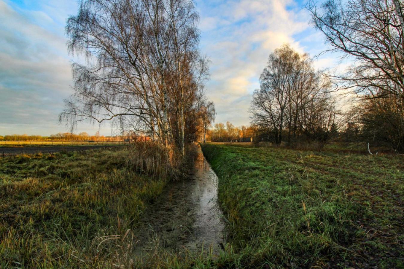 Feldweg und Bach hinter dem Grundstück