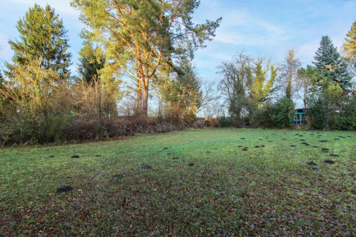 Grundstück aus der vorderen Ecke