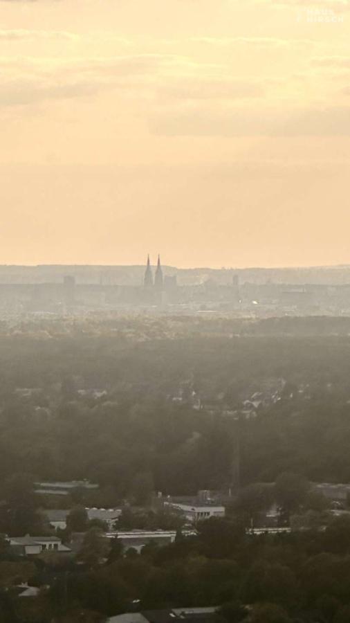 Blick auf den Dom 