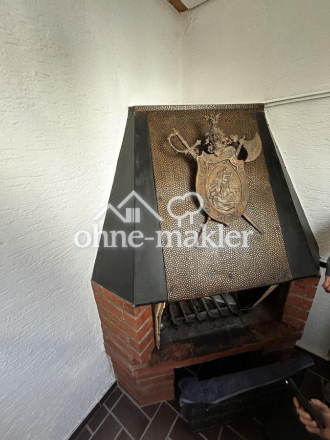 Kamin im Wintergarten