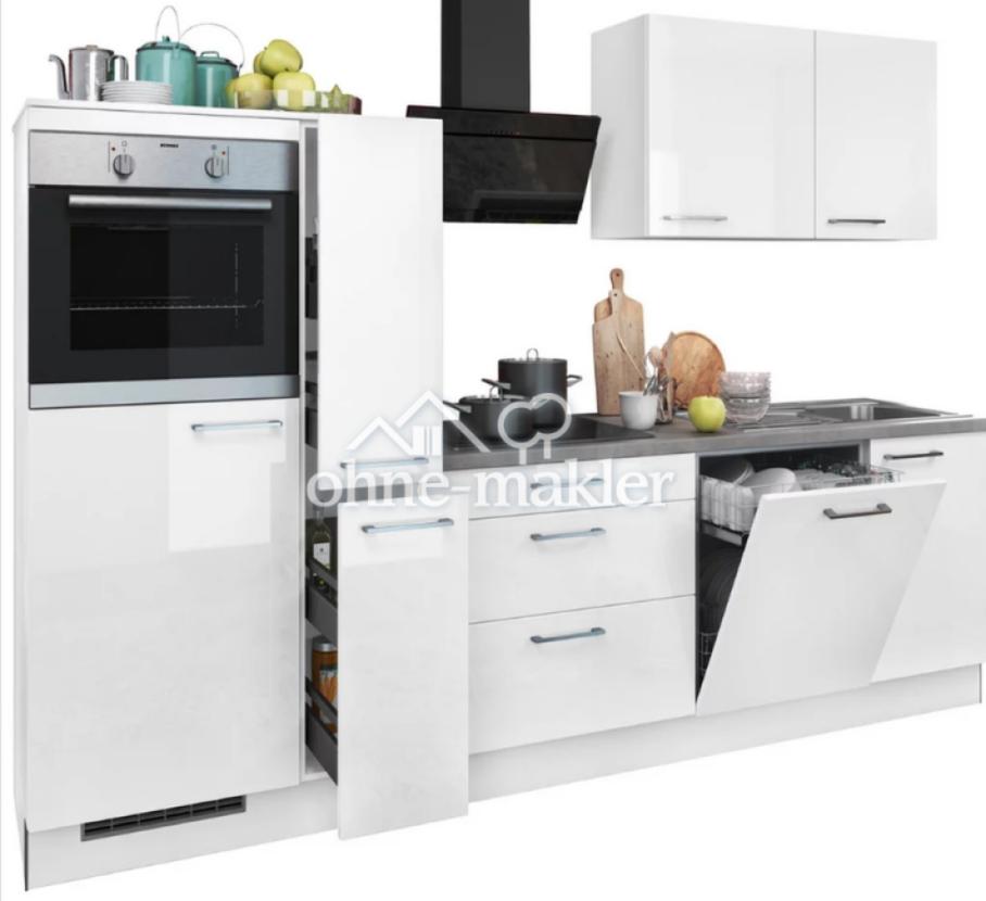 moderne Küche-> Geschirrspüler