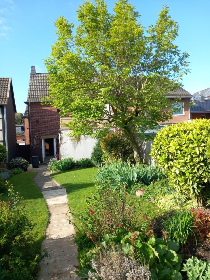 Gartenansicht im Sommer