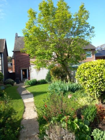 Gartenansicht im Sommer