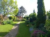 Garten im Sommer