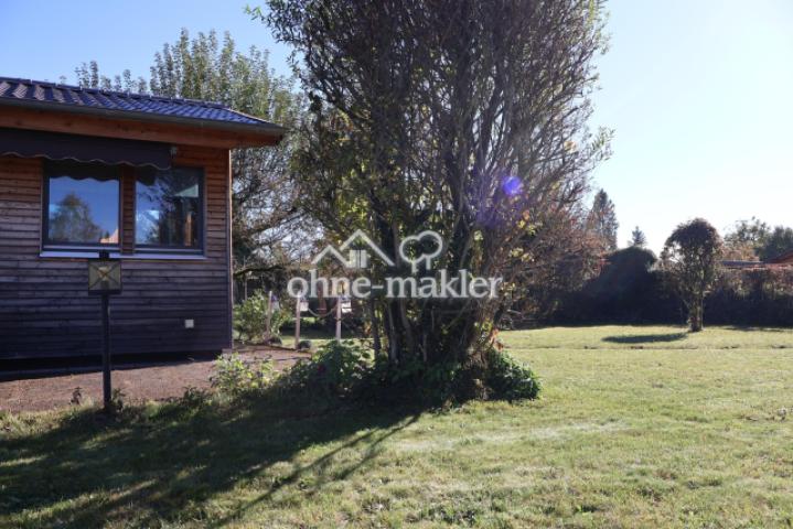 Freifläche mit Weide