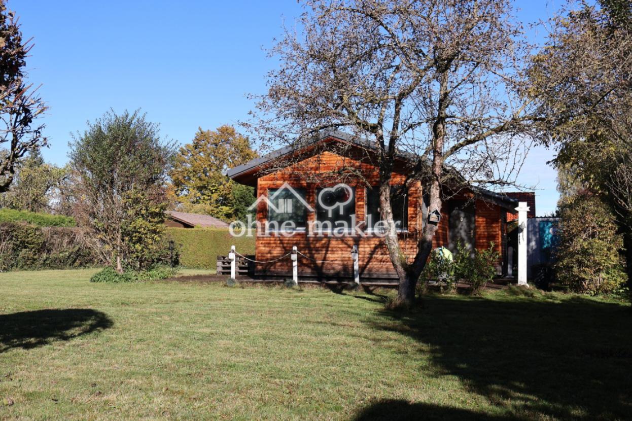 Freifläche mit Apfelbaum