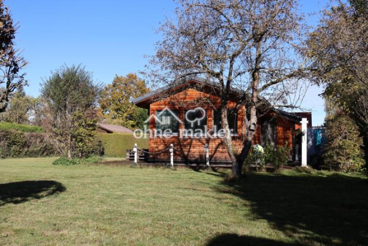 Freifläche mit Apfelbaum