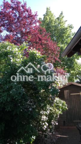 Frühlingsblüte/Schuppen