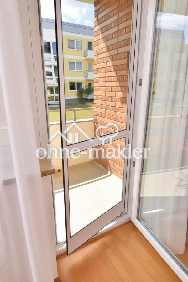 Hochwertige Fliegengitter