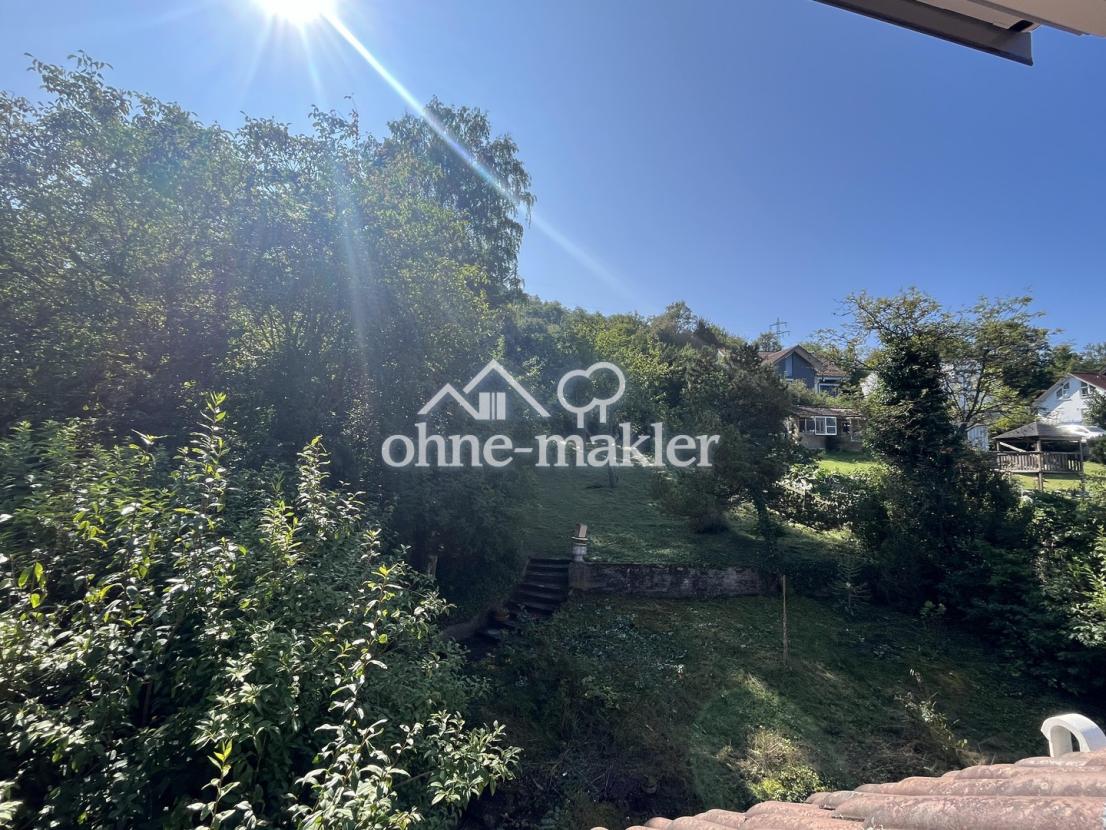 großer Garten mit alten Bäumen