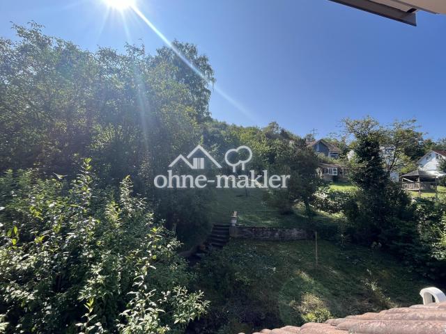 großer Garten mit alten Bäumen