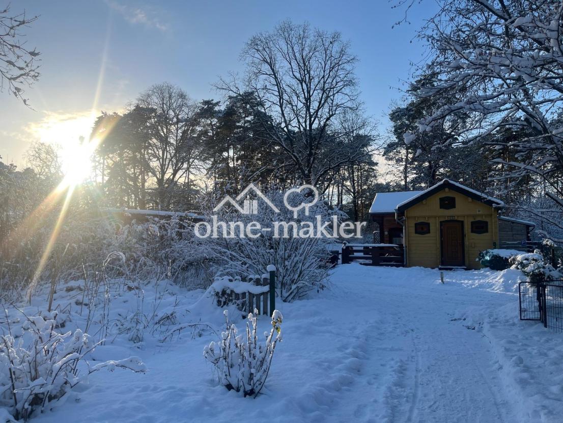 Gartenblick im Winter