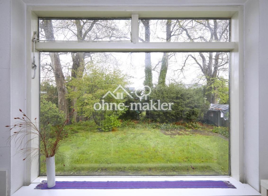 Blick in den Hintergarten