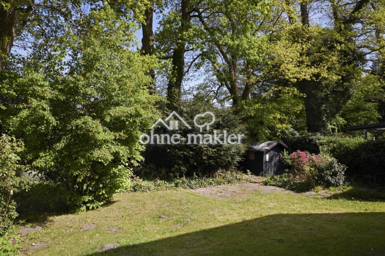 Hintergarten belaubt