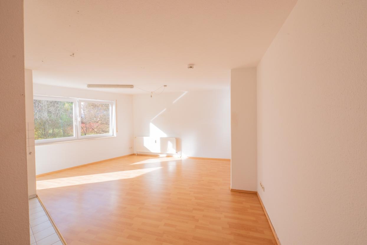 Wohn- /Ess- /Schlafbereich