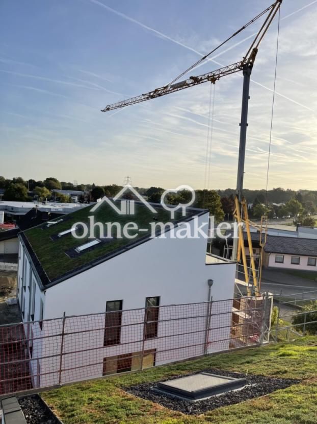 Ökologische Dachbegrünung