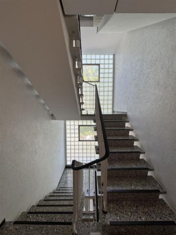 Gepflegtes Treppenhaus