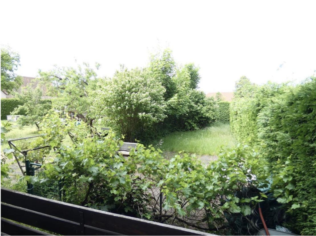 Blick ins Grüne aus großer Wohnung