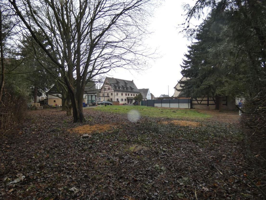 Ausblick auf die Nachbarn